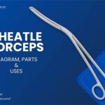 Cheatle Forceps Diagram, Parts and Uses